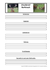 Rothirsch-Steckbriefvorlage.pdf